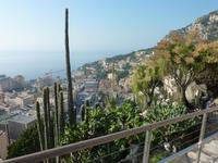 Oftmals ließ sich der Blick über die Pflanzen auch mit einem Blick über die eng bebaute Stadt Monaco verbinden.