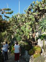 Das erkannten selbstverständlich auch die Fotografen unter den Gästen sehr schnell.