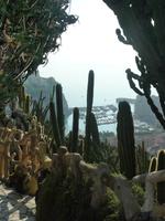 Hinter diesem dicht bewachsenen Wegabschnitt schonmal ein erster Blick auf den kleineren Hafen. Links lugt schon der Altstadtfelsen von Monaco um die Ecke.