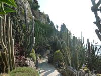 Ein nochmaliger Blick über die bunte Artenvielfalt der Kakteen. Der Mann in der Mitte war nicht etwa einer unserer Mitreisenden, sondern vielmehr dafür zuständig, die Kakteen nicht verdursten zu lassen.