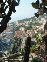 Dieser Abschnitt lag schon ein beträchtliches Stück klippenabwärts vom Eingang des Jardin Exotique. Das neue Stadtviertel rückte jedenfalls immer näher.