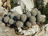 Auch wenn die Sonne so schön scheint: Hier sitzt es sich vermutlich nicht besonders bequem.