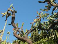 Auch von der anderen Seite: Kein Herankommen.