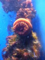 Vielleicht fällt Ihnen ja selbst ein passender Kommentar zu diesem Foto ein? Mir leider nicht.