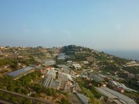 Wie Franca passend sagte, müsste die Blumenriviera mittlerweile fast schon Gewächshausriviera heißen.