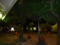 Eigentlich kaum zu glauben, dass dies hier eine ganz gewöhnliche Verkehrsstraße ist.