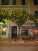 Und hier nochmals eine Detailaufnahme eines Orangenbaumes.