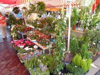 Kurz später kamen wir am Blumenmarkt von Nizza an.