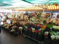 Die Blumen gab es quasi in allen vorstellbaren Farben.