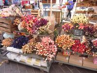 Wer keine frischen Blumen haben mochte, der konnte diese auch gerne in getrockneter Form erwerben.