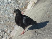 Liebe Frauen, falls ihr Mann beim Trinken wieder einmal sagt: 