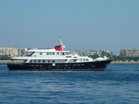 Diese hier gehörte dabei eher noch zu den kleineren Exemplaren.