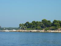 Die Inseln waren direkt hinter dem Strand dicht mit Wäldern bewachsen.
