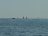 Nun wagten sich doch noch einige Freunde des Windsegelns aufs Meer hinaus. Ob es klappte oder nicht... wer weiß.