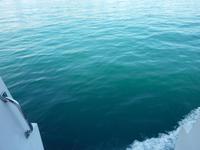 Sogar von nah hatte das Meer hier eine wunderbare türkisgrüne Färbung erreicht. Die Sonne machts möglich!