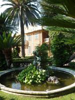 Diese hatten es sich in einem schattigen Brunnen gemütlich gemacht, und schienen sich nun um das einzig trockene Fleckchen darin zu streiten.