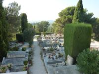 Büsche und Bäume werden hier stetig gepflegt und in Form gehalten. Ganz dem künstlerischen Gedanken entsprechend.