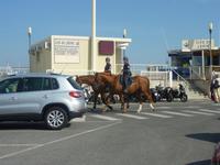 Hoch zu Ross arbeitete es sich an diesem extrem heißen Tag mit Temperaturen von über 30°C sicherlich besser, als in einem kleinen stickigen Polizeiwagen.