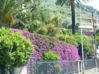 Fahrt nach S. Margherita Ligure