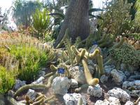 1912 Beginn u. Anlegen des Gartens