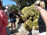 2300 Stunden Sonne im Jahr