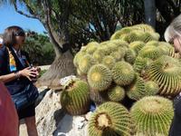 Schwieger-Mutter Stuhl kann 140 Jahre werden