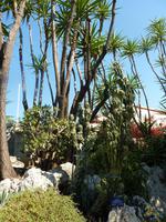 aussergewöhnlichen Kunstsinn