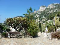 Kleinodien der Flora von Madagaskar Mexiko, Chile u. Niederklaifornien