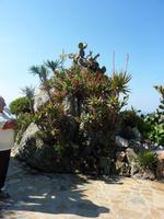 Botaniker-Paradies unter freiem Himmel