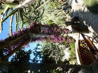 Steine natürliche Felspatien