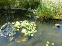 Tempel des Meeres im Garten