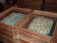 Einzelne Inhaltstoffe