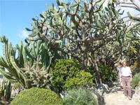 Hätte ich gern im Garten