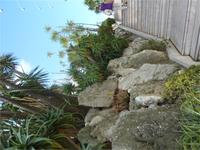 Jetzt gehts wieder rauf