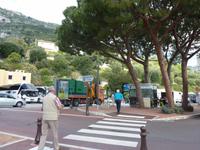 Ausgang Exotischer Garten