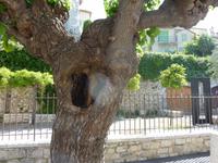 Spaziergänge in Saint Paul