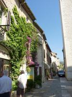 Steinhäuser-Saint-Paul