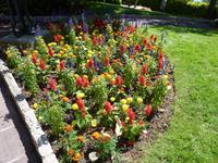 wunderbare Blumenrabatten