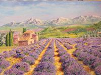 Lavendel in der Provence