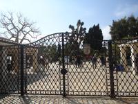 Exot_Garten_Monaco_1