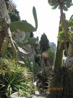 Passage im Exotischen Garden