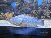 Beeindruckende Unterwasserwelt