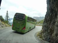 Bus 2 Reisevogel 2014