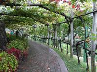  Botanischen Garten von Meran