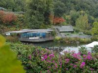 Schloss Trauttmansdorff-  Botanischen Garten von Meran