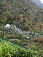 Schloss Trauttmansdorff-  Botanischen Garten 