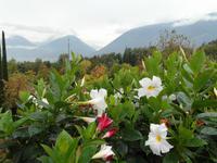 Schloss Trauttmansdorff