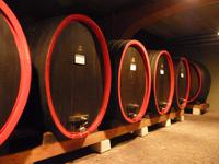 Weingut 