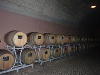 Weingut 