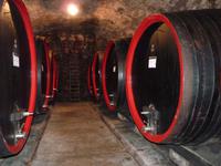 Weingut 